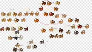 Лев Муфаса Симба Родословная, лев, животные, текст png