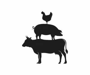 Корова свинья курица трафарет шаблон сельскохозяйственных животных трафарет значок сложены корова свинья курица трафарет вектор