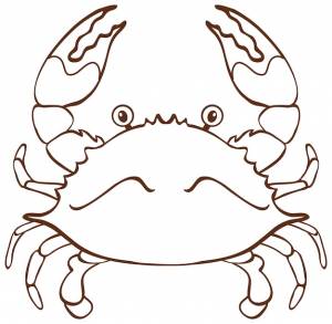 Crab Drawing