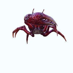 Файл OBJ Краб, DOWNLOAD Crab 3d Model PACK animated for Blender-Fbx-Unity-Maya-Unreal-C4d-3ds Max