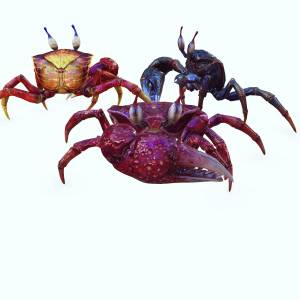 Файл OBJ Краб, DOWNLOAD Crab 3d Model PACK animated for Blender-Fbx-Unity-Maya-Unreal-C4d-3ds Max