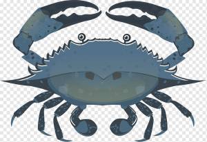 значок краба темно-синий дизайн, png