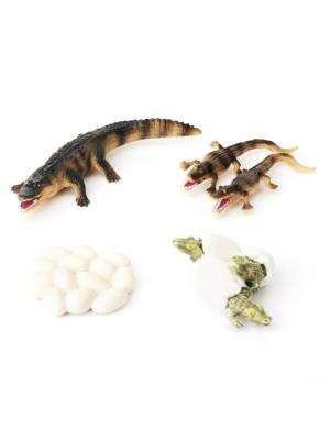 Набор фигурок Derri Animals Жизненный цикл Крокодила 87511, коллекционные, животные, игрушки для детей, маленькие, комплект, 4 фигурки