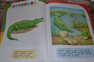 Годовой курс занятий для детей 1-2 лет