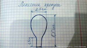 Мастер-класс «Крокусы из фоамирана»
