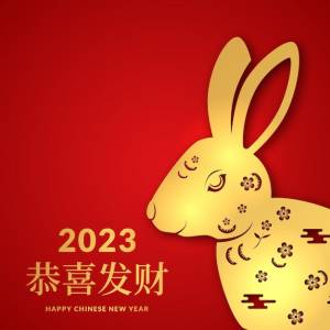 Китайский новый год 2023 год кролика шаблон поздравительной открытки с золотым украшением кролика с элементом