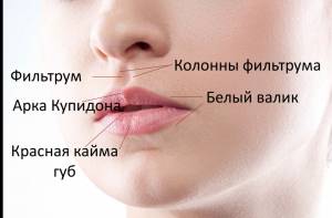 Увеличение губ