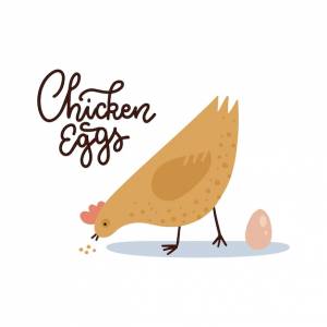 Шаблон баннера куриные яйца курица с яйцом и надписью милый цыпленок клюет зерно фермер ма