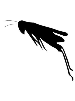 Трафареты Кузнечика