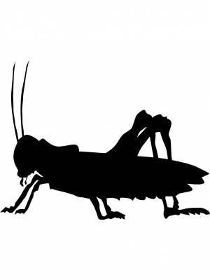 Трафареты Кузнечика