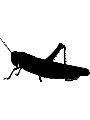 Трафареты Кузнечика