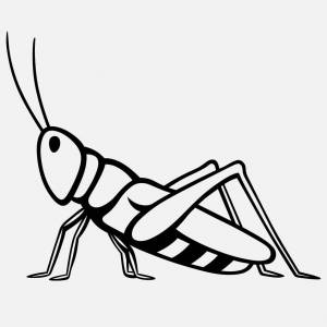 Кузнечик и бабочка рисунок