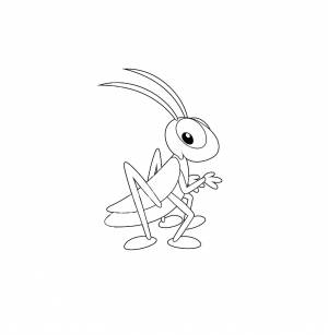 Поэтапное рисование кузнечика