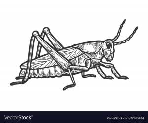 Кузнечик трафарет