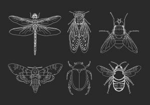 Трафарет насекомых