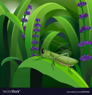 Домик кузнечика в природе