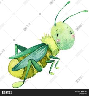 Глаза кузнечика