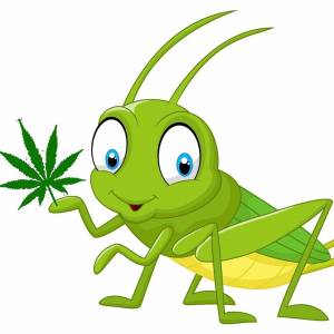 Мультяшный кузнечик