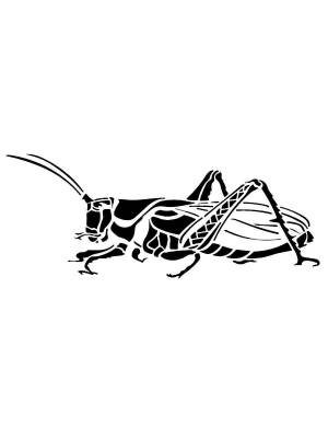 Трафареты Кузнечика