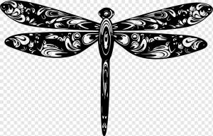 Стрекоза, Насекомое, Рисование, Образец, Крылья, Декоративные, Фотографии, Вырезать, Стрекозы, Шаблон, png