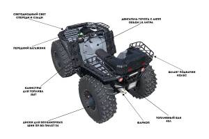 Квадроцикл Сокол Трофи по выгодной цене