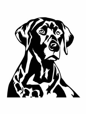 Трафареты Лабрадора