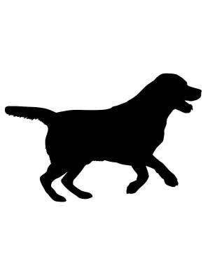 Трафареты Лабрадора