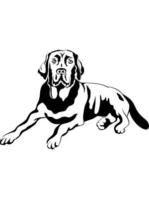 Трафареты Лабрадора