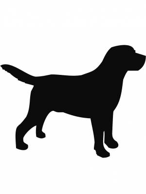 Трафареты Лабрадора