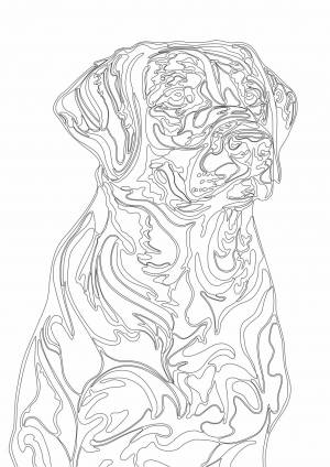 Трафарет Лабрадор А3 и А2