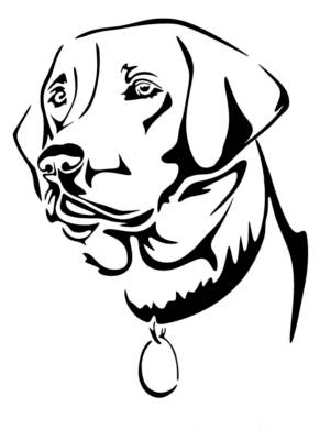 Трафареты Лабрадора для вырезания из бумаги