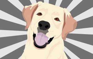 Трафареты собак