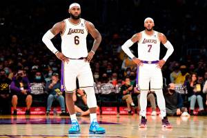 Nike Lebron Witness VI