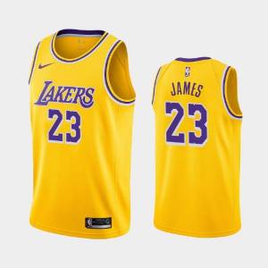 оригинальную Los Angeles Lakers LeBron James 6 Gold 2019-20 Icon баскетбольная майка NBA в баскетбольном магазине NBA-shop по приятной цене 3 000 руб