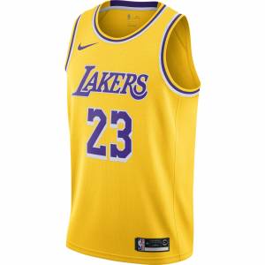 Джерси LeBron James Lakers Icon Edition