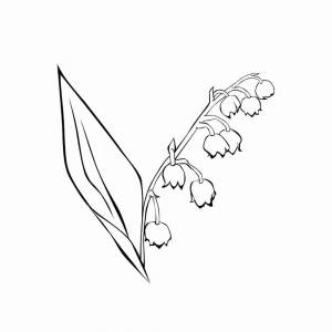 Шаблон ландыша