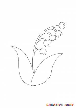 КАК СДЕЛАТЬ