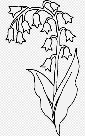 Ландыш Цветочный рисунок Растение-стебель ландыша, белый, лист, фотография png