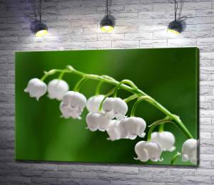 Картина ArtPoster Совершенные формы колокольчиков белых ландышей 100x66 см Модуль №1
