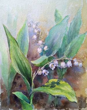 Ландыши цветы