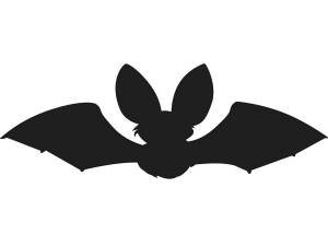 Трафареты Летучей Мыши