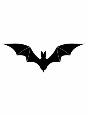 Трафареты Летучей мыши