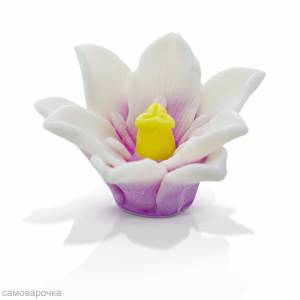 Ля сконовая форма 3D*