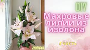 Махровые ли из изолона 1 часть