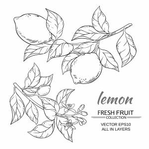 Трафарет лимон