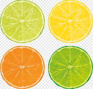 Фрукты, Цитрусовые, Еда, Лимон, Лайм, Оранжевый, Здоровые, Свежий, Рисование, Эскиз, png