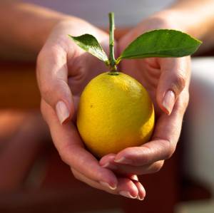 Фрукты из магазина опасны