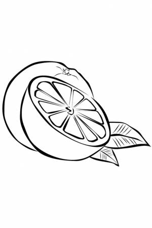Раскраска лимон