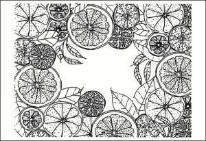 Прозрачные штампы для скрапбукинга, трафареты с изображением лимона и настойки, 11 х16 цветов, для творчества, изготовления открыток