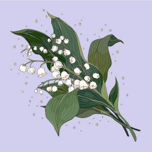 Ландыш рисунок